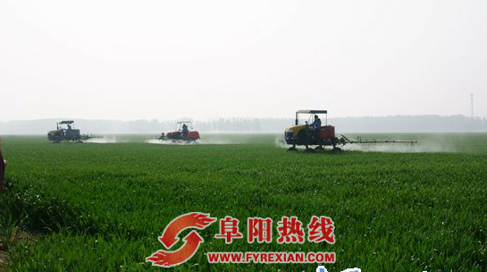 我市一县入选全省农业保险试点，农户仅需缴20%保费