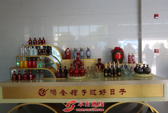 阜阳市互联网协会走进金种子酒业