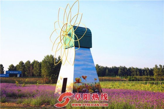 锦绣画卷 怡然天下——锦怡百花艺术节于7月26日盛大开幕