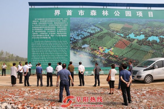 聚焦五大发展行动 建设大美阜阳