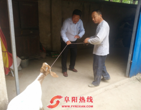 颍州区民政局精准助力郝庄社区产业扶贫