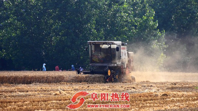 阜阳市720.7万亩小麦全部收割完毕