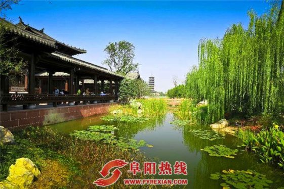 做足水文章，打好生态牌——近悦远来、宜居宜游的魅力颍上初现