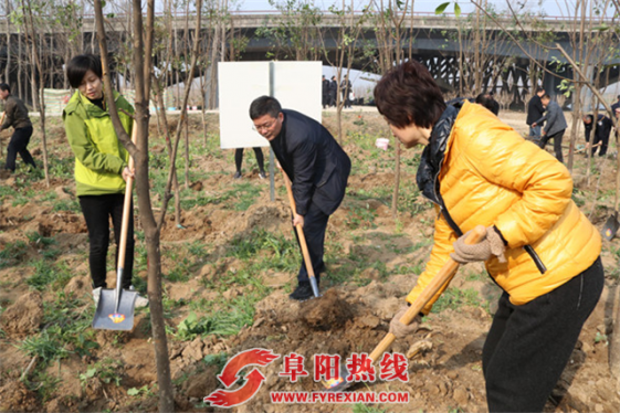 颍泉区组织百余名机关干部参加义务植树活动
