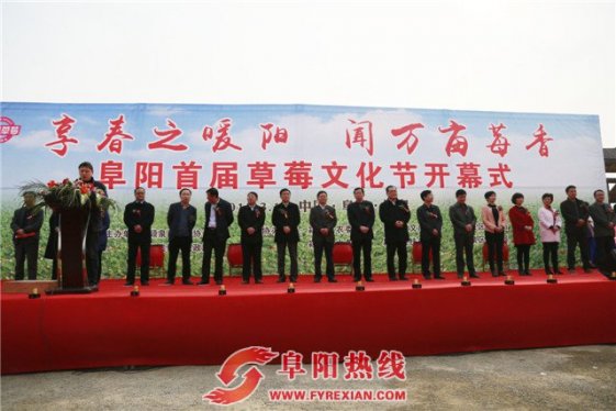 享春日暖阳闻万亩莓香  阜阳首届草莓文化节盛大开幕