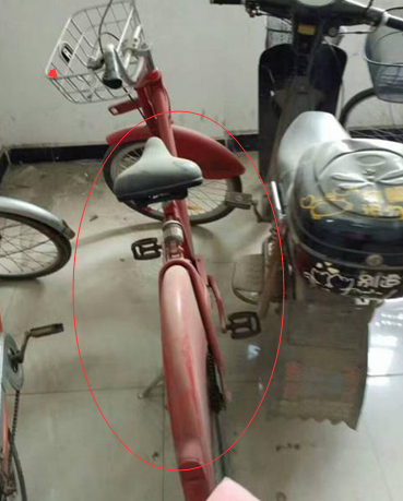 阜阳小绿被换上红外套