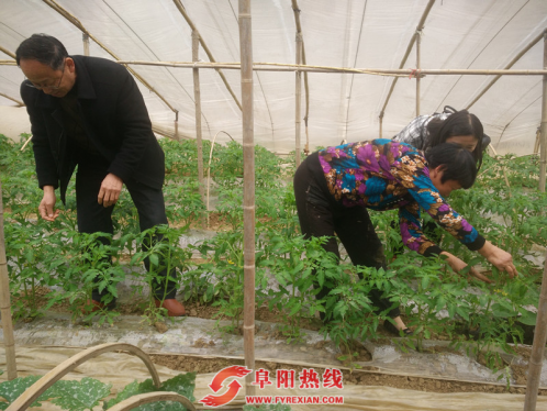 颍州区民政局开展学雷锋月实践活动