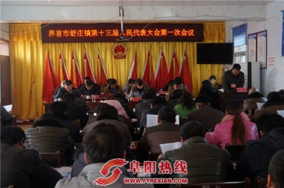 舒庄镇第十三届人民代表大会第一次会议胜利开幕