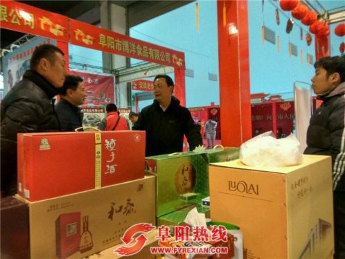 阜阳市领导参观“首届优质工业品惠民春节大卖场”