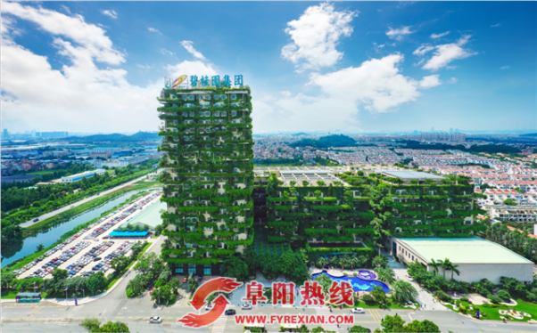 春风十里，必须有你——千亿房企碧桂园大型春季招聘会