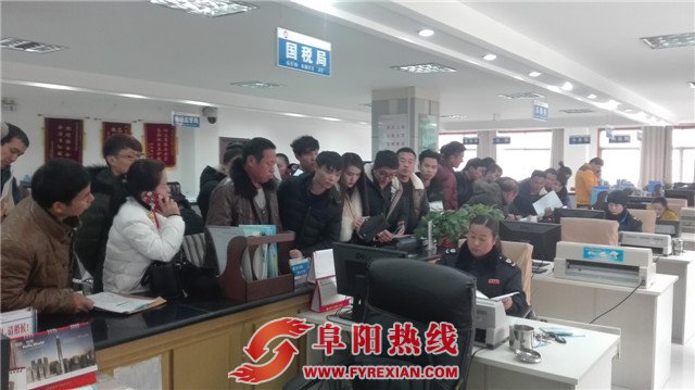 元旦假期界首国税局车购办窗口分外忙