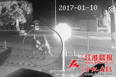 轿车凌晨车祸起火 阜阳小伙连救三人