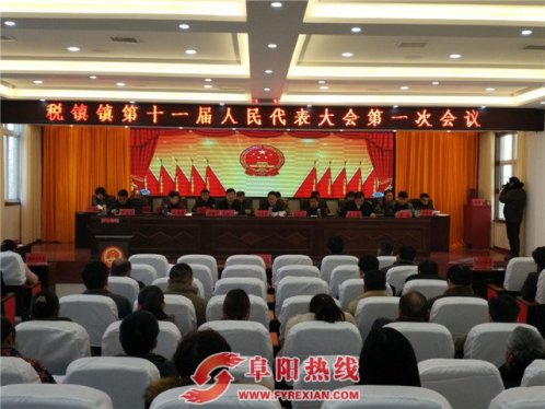 太和县税镇镇隆重召开第十一届人民代表大会