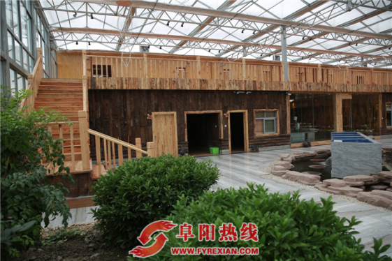 专访安徽阜阳绿博农业观光有限公司总经理赵兴海