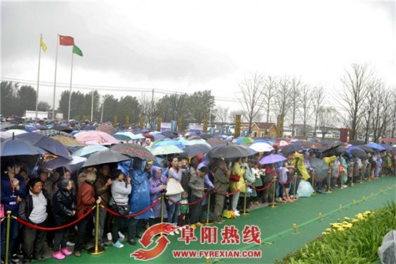 安徽省第七届花卉博览会今日启幕 大阜阳开启花海模式