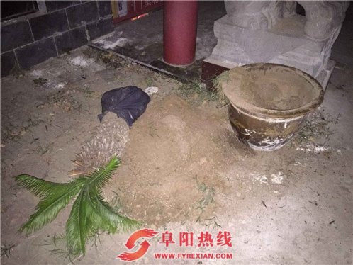 界首：“爱花”大厨拘留所里度中秋