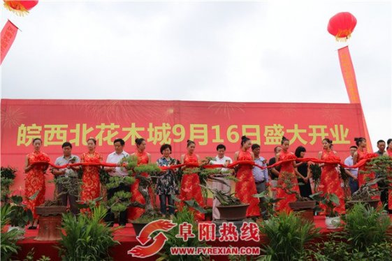 皖西北花木城盛大开业
