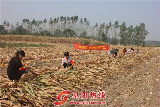 泉阳镇秋收不忘关爱流动人口家庭