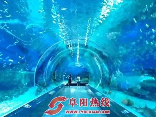 浙商计划投资15亿 将在阜阳建设大型海洋公园