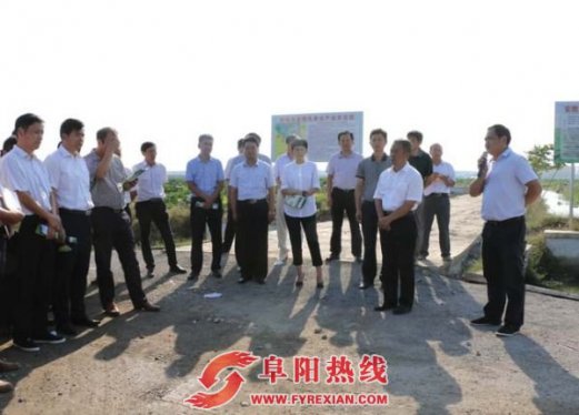 阜南县召开现代农业现场观摩会