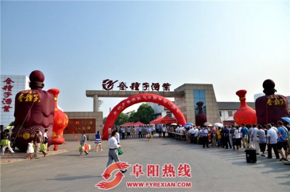 教师节：2016金种子敬师再献礼