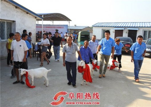 残残相扶，共同致富