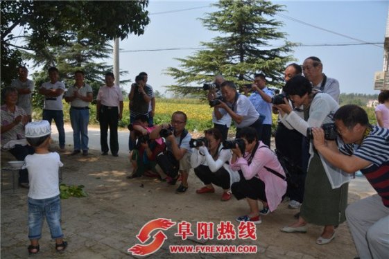 太和县摄影家协会组织会员到坟台镇采风