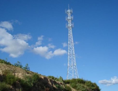 三亚市太拼了：为证明辐射无危害，在政府大院建基站