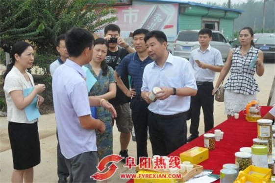 省调研组到颍泉区调研两权抵押贷款试点工作