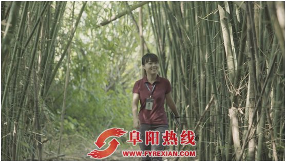 碧桂园海归女博士到革命老区驻村扶贫