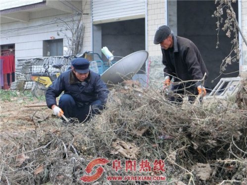 界首市舒庄镇：突出群众主体建设美丽乡村