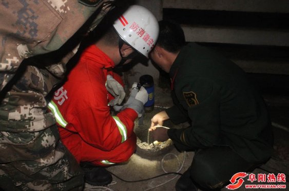 母猪掉深井 蚌埠消防冒雨急救援（图）