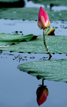 别告诉我九月份你不去这个地方