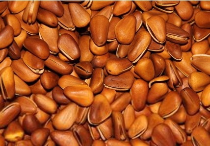 越“土”越健康 生活中最不起眼六大长寿食物