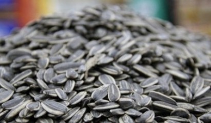 吃把瓜子可缓解痛经！专家推荐6种经期食物